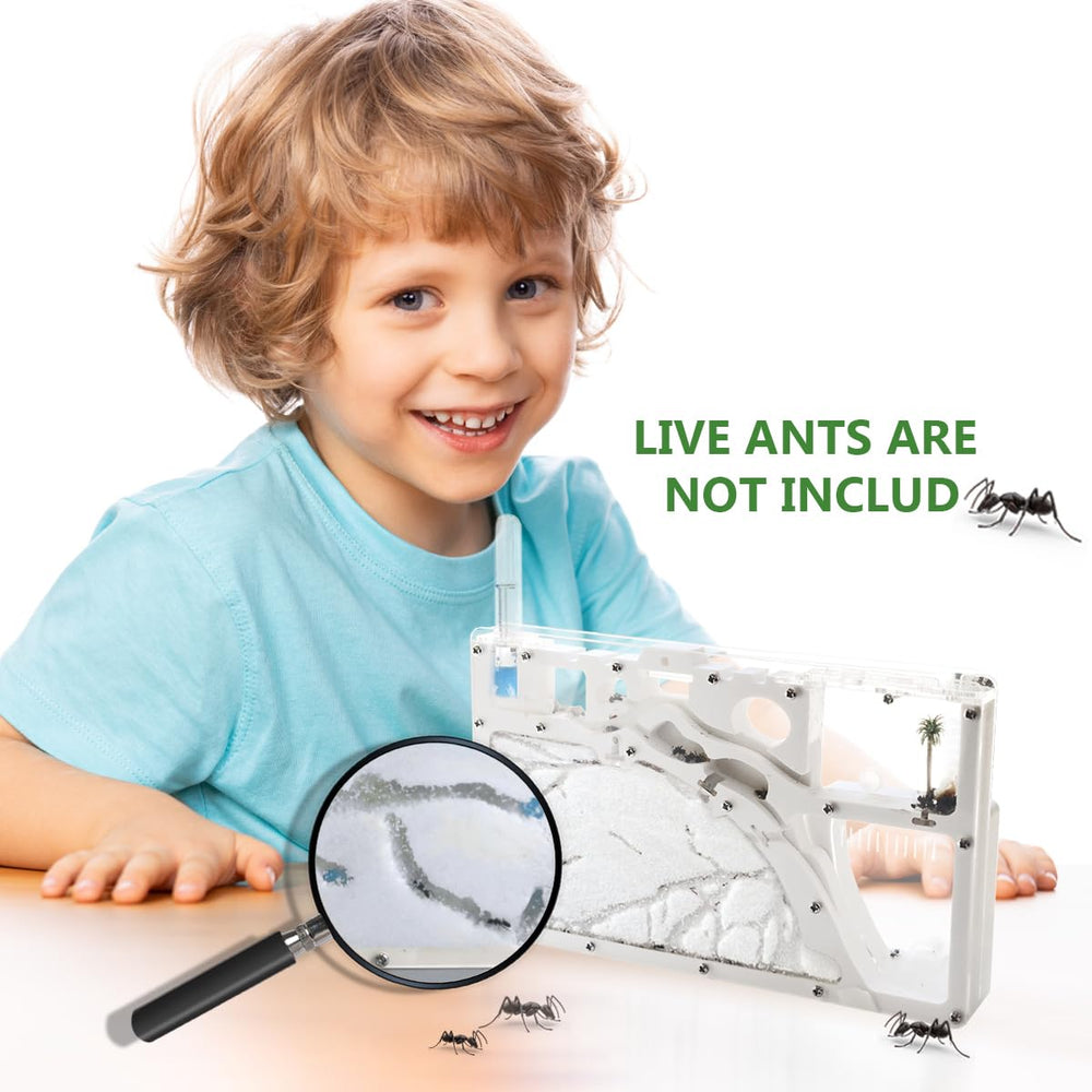 Kahopy Ant Farm Castle package contents photo highlights tools included.