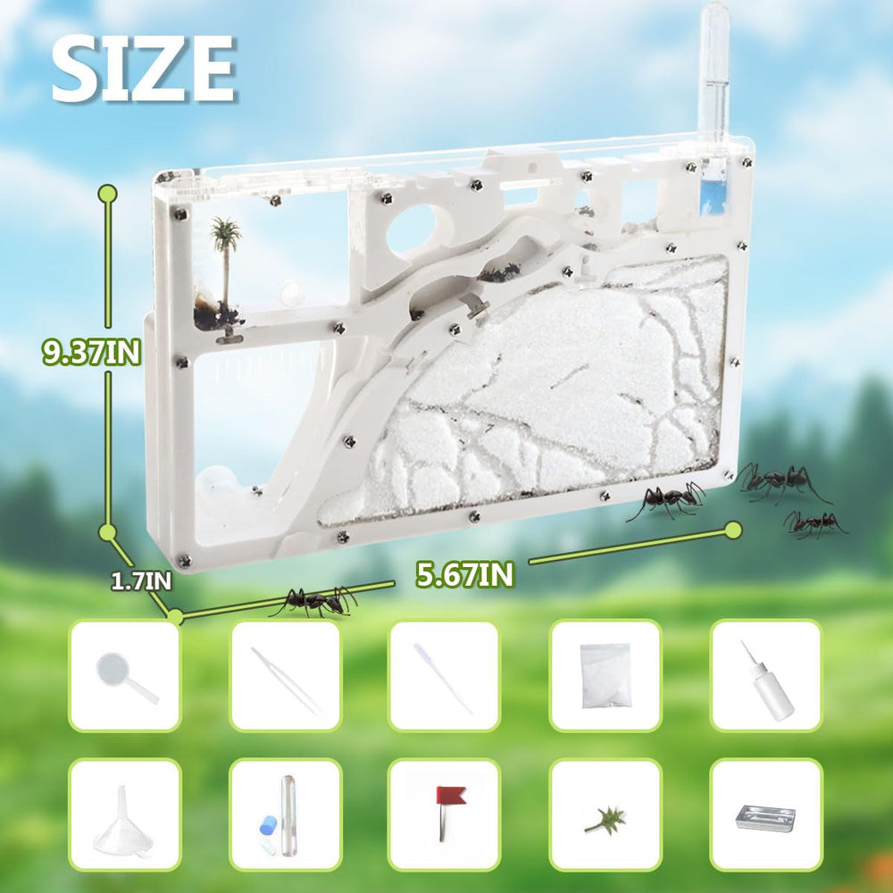 Kahopy Ant Farm Castle sand pack close-up emphasizes tactile, hands-on learning.
