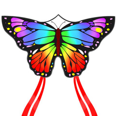 Kaiciuss Butterfly Kite front view, beginner-friendly design