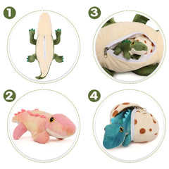 Karister eggshells inside as bright accents encouraging color recognition during play.