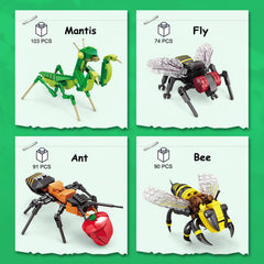 KAZI Ideas Insect Collection bee model supports color recognition and pattern study