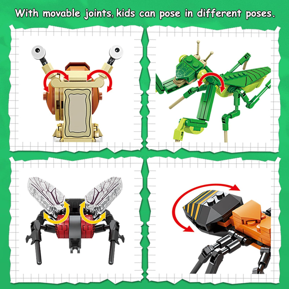 KAZI Ideas Insect Collection housefly model sparks curiosity about insect anatomy