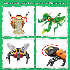 KAZI Ideas Insect Collection housefly model sparks curiosity about insect anatomy