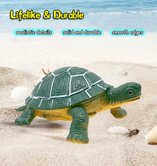 KECIABO Ocean Seahorse toy encourages imaginative play and learning