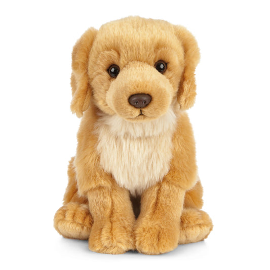 Keycraft Living Nature Golden Retriever plush face detail with honey fur and friendly brown eyes.