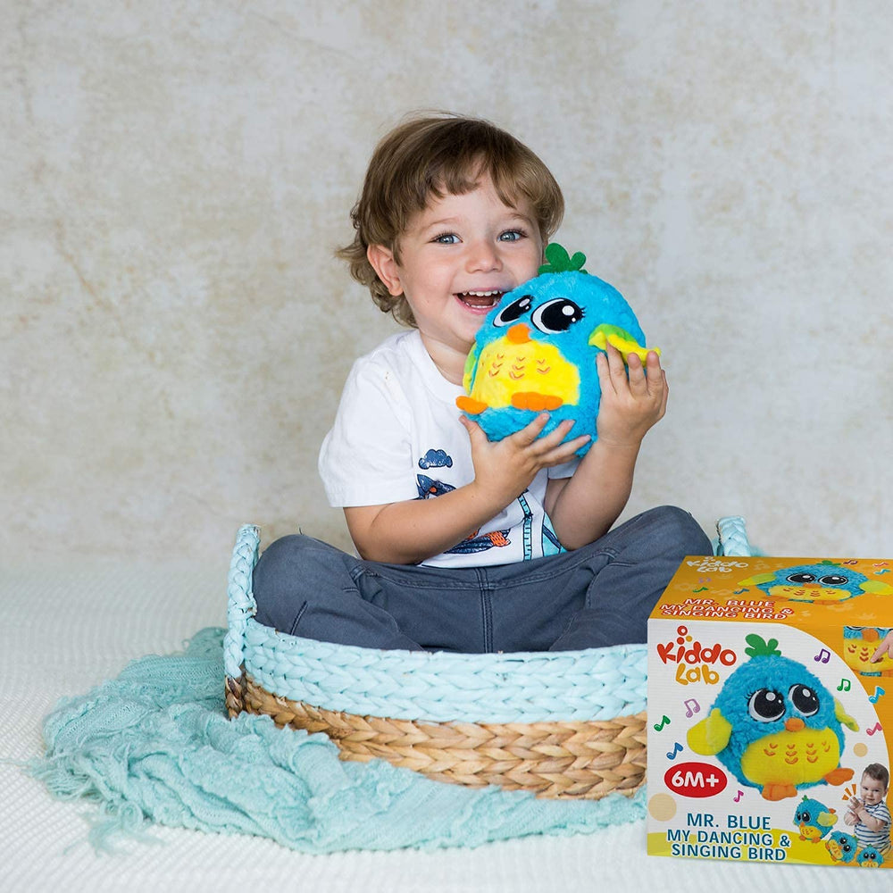KiddoLab age6plus bird as a versatile musical companion.
