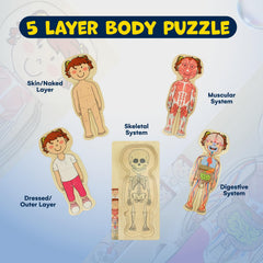 Kidzlane anatomy puzzle pieces fit between small hands for motor skill practice.