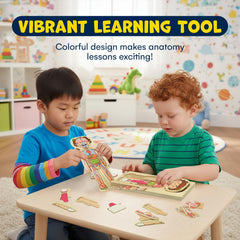 Kidzlane human body parts puzzle fosters curiosity and part recognition during play.