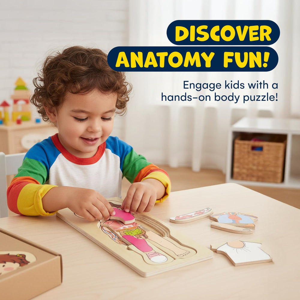 Kidzlane layered anatomy puzzle shows the muscular system for hands-on learning.
