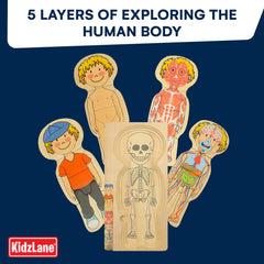 Kidzlane Boy Wooden My Body Puzzle respiratory layer, breathing concept through play