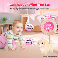 Kindenwinn puppy toy accessories bundle for complete pet care play