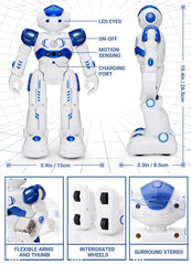 KingsDragon RC robot performing dance and action sequences during play