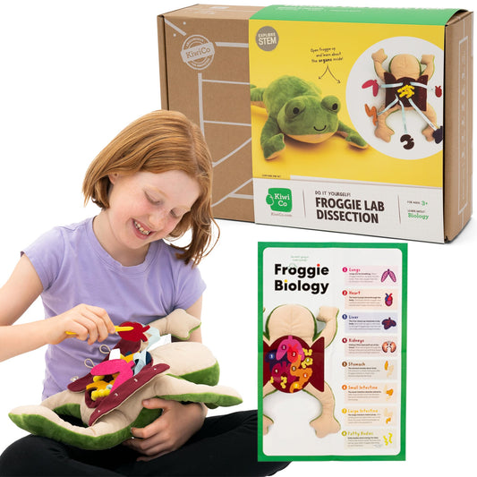 KiwiCo Froggie lab dissection plush for hands-on anatomy exploration.