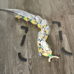 KiwiCo explanation of how switches cause side-to-side motion in the snake.