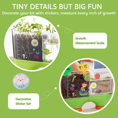 Klever Kits transparent root viewer highlights seed sprouting and early root development.