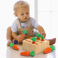 KMTJT colorful carrot pieces for toddlers improving focus and coordination