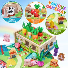 KMTJT farm vegetables set focuses on carrot sorting and color recognition during play