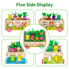 KMTJT wooden animal collection supports sorting and fine motor play.