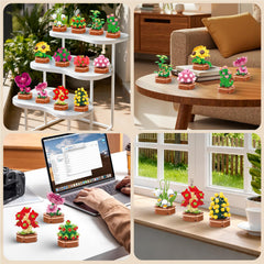 KOJAYHOL gift-ready 12-pack fosters mindful creativity for loved ones.