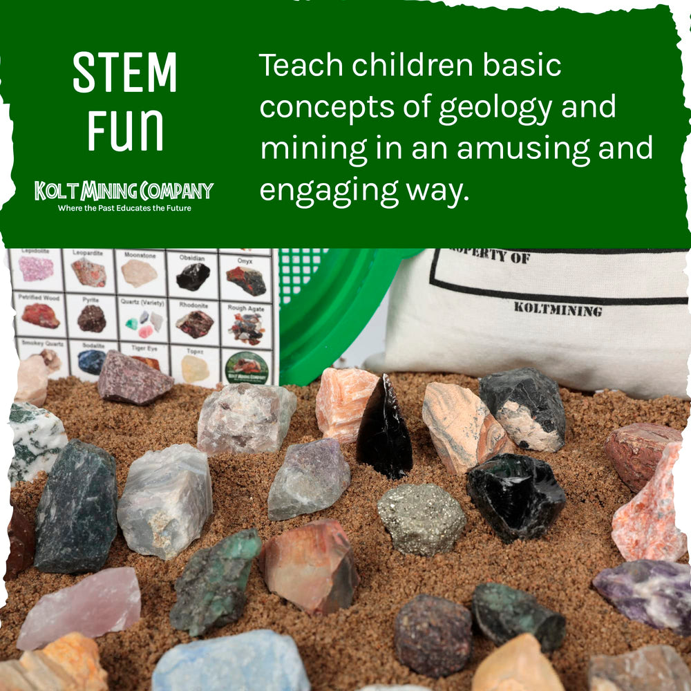 Kolt Mining fossil mix lets kids identify ancient life casts and patterns.