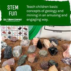 Kolt Mining fossil mix lets kids identify ancient life casts and patterns.