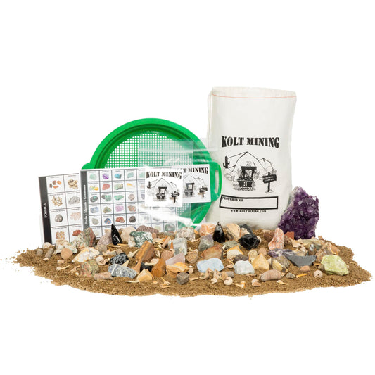 Kolt Mining Mother Lode fossils showcase real specimens for hands-on geology exploration.