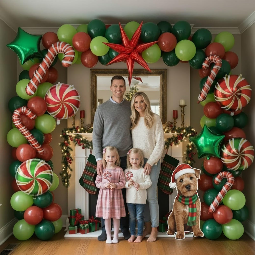 Kozee balloon arch setup directions help you hang and arrange easily.