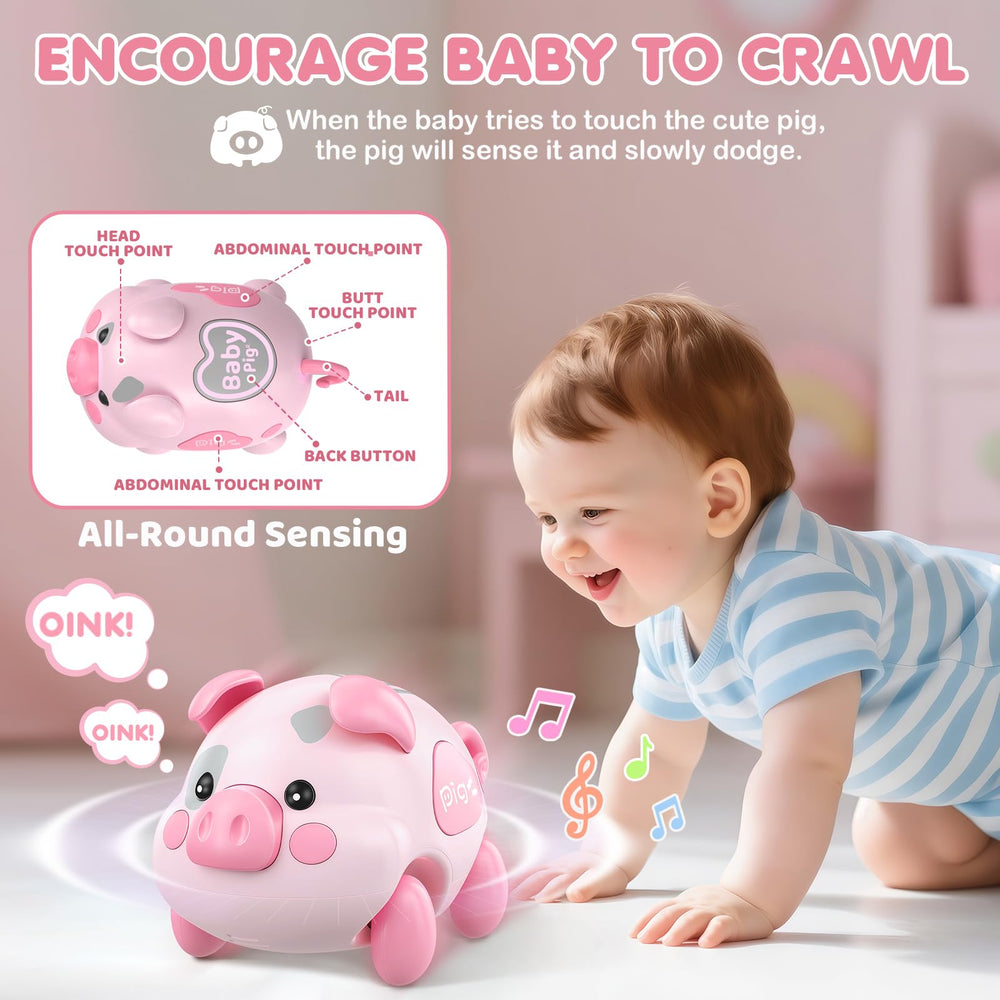 LACCHOUFEE Piggy Toy features a musical tambourine for joyful, interactive sounds.