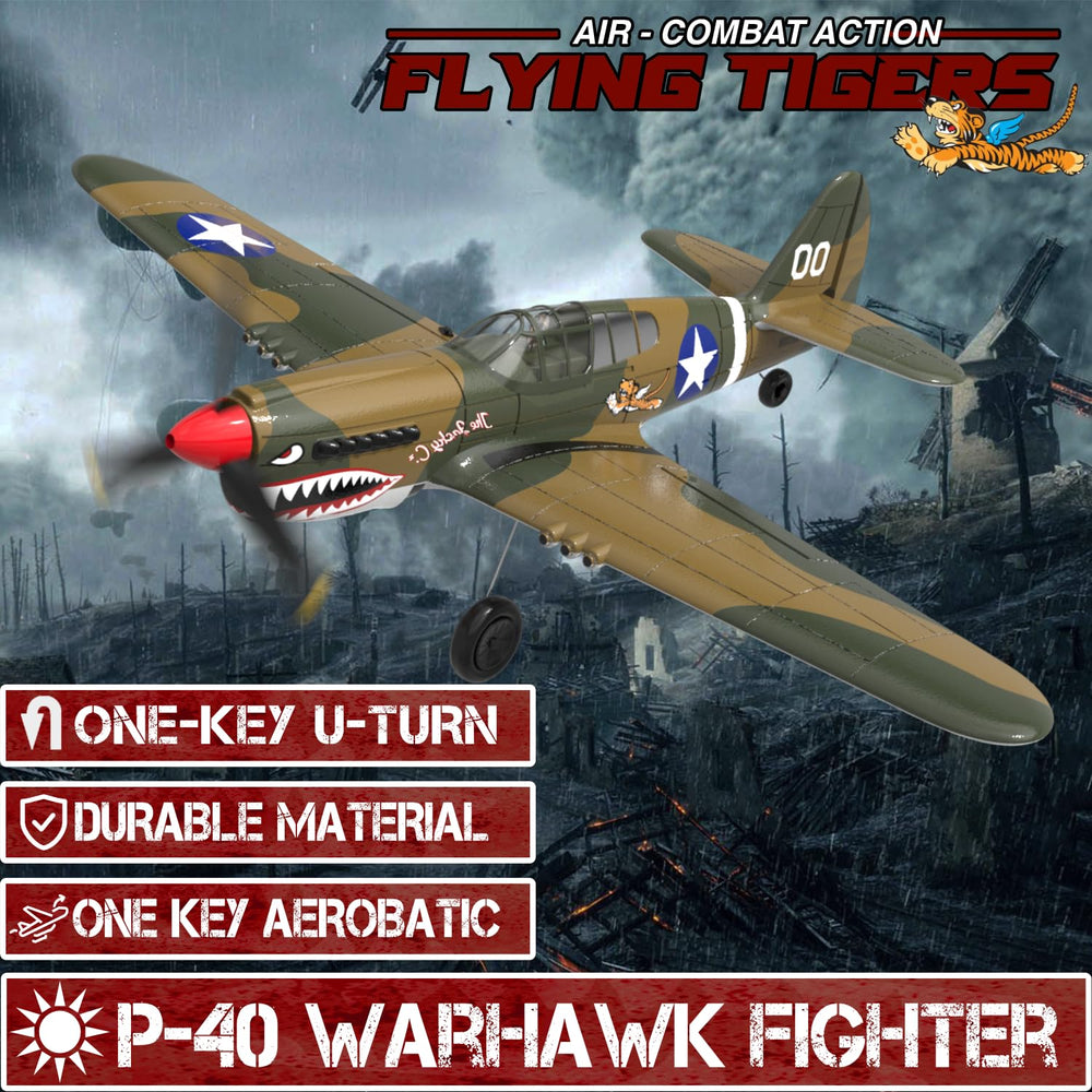 LEAMBE P-40 Warhawk with XPILOT stabilization for ultra-stable flights.