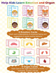 Learn2M educational posters brightening walls and guiding lessons.