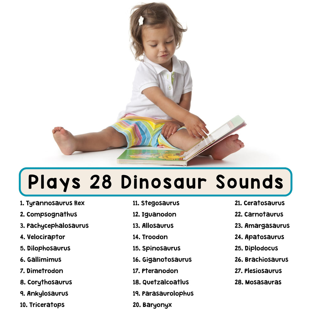 Learning Bugs Dinosaur Sound Book pages showcase sturdy design for frequent exploration.