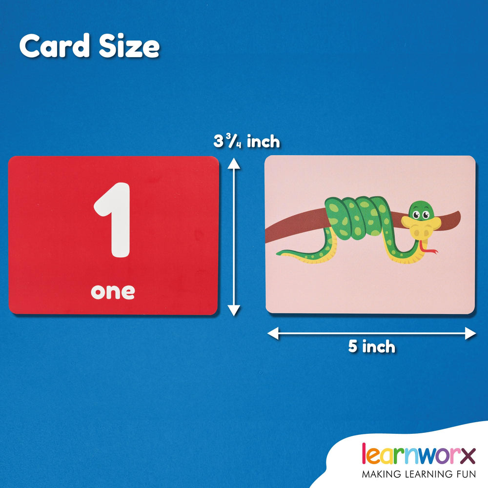 Learnworx Number Flash Cards visual-detailed-illustrations: detailed visuals aid quick recognition and memory.