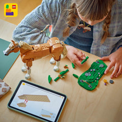 LEGO 685 pieces offer a rewarding building experience for ages 9+.
