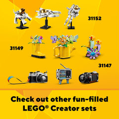 LEGO Creator display-ready models sit on shelves after play