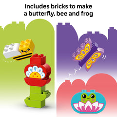 LEGO DUPLO Town garden-wide scene supports creative storytelling.