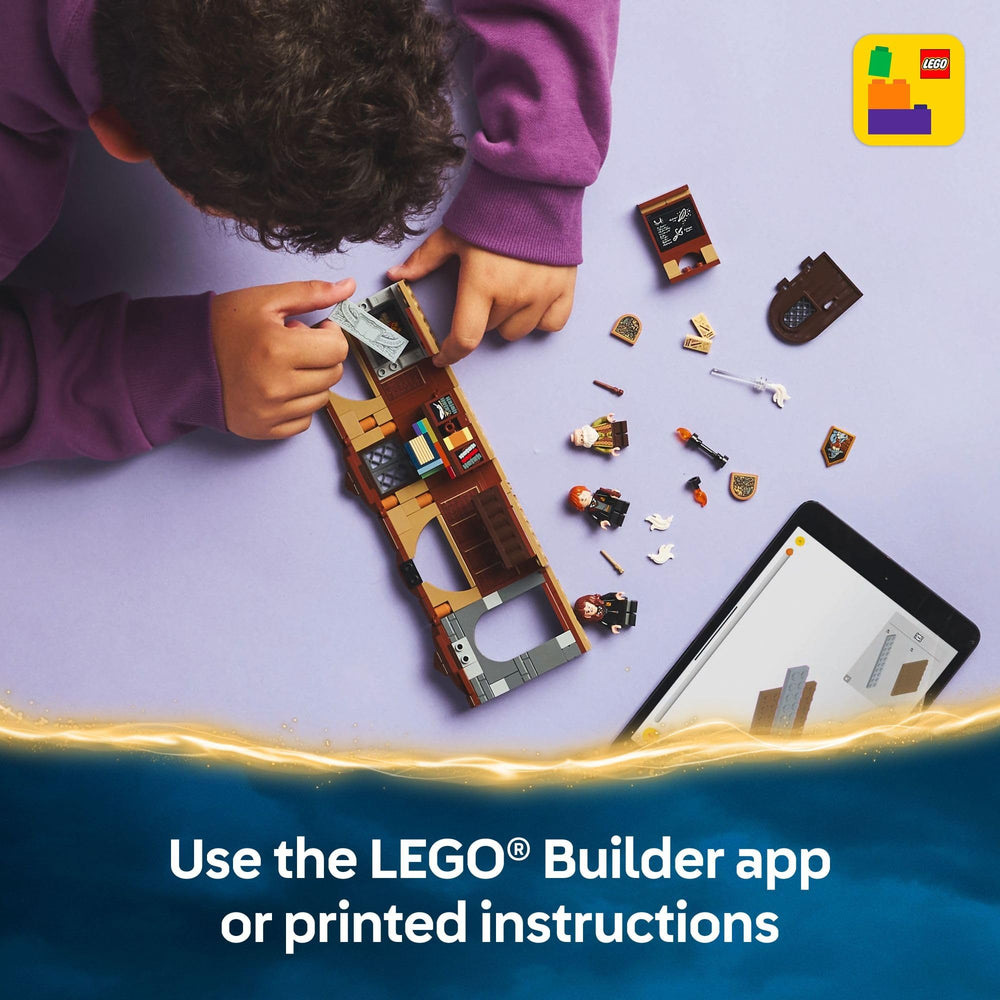 LEGO Hogwarts portrait element included for classroom display variety