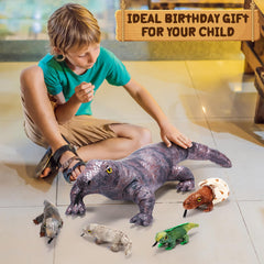 Lenwen Komodo Dragon plush set packaging image, ready for gifting and display in rooms.
