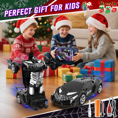 LERJIAUS spider RC toy gift pack, ideal for curious youngsters and gift occasions