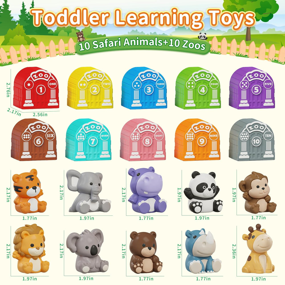 Letapapa zoo containers with color dots support number recognition and sorting