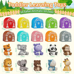 Letapapa zoo containers with color dots support number recognition and sorting