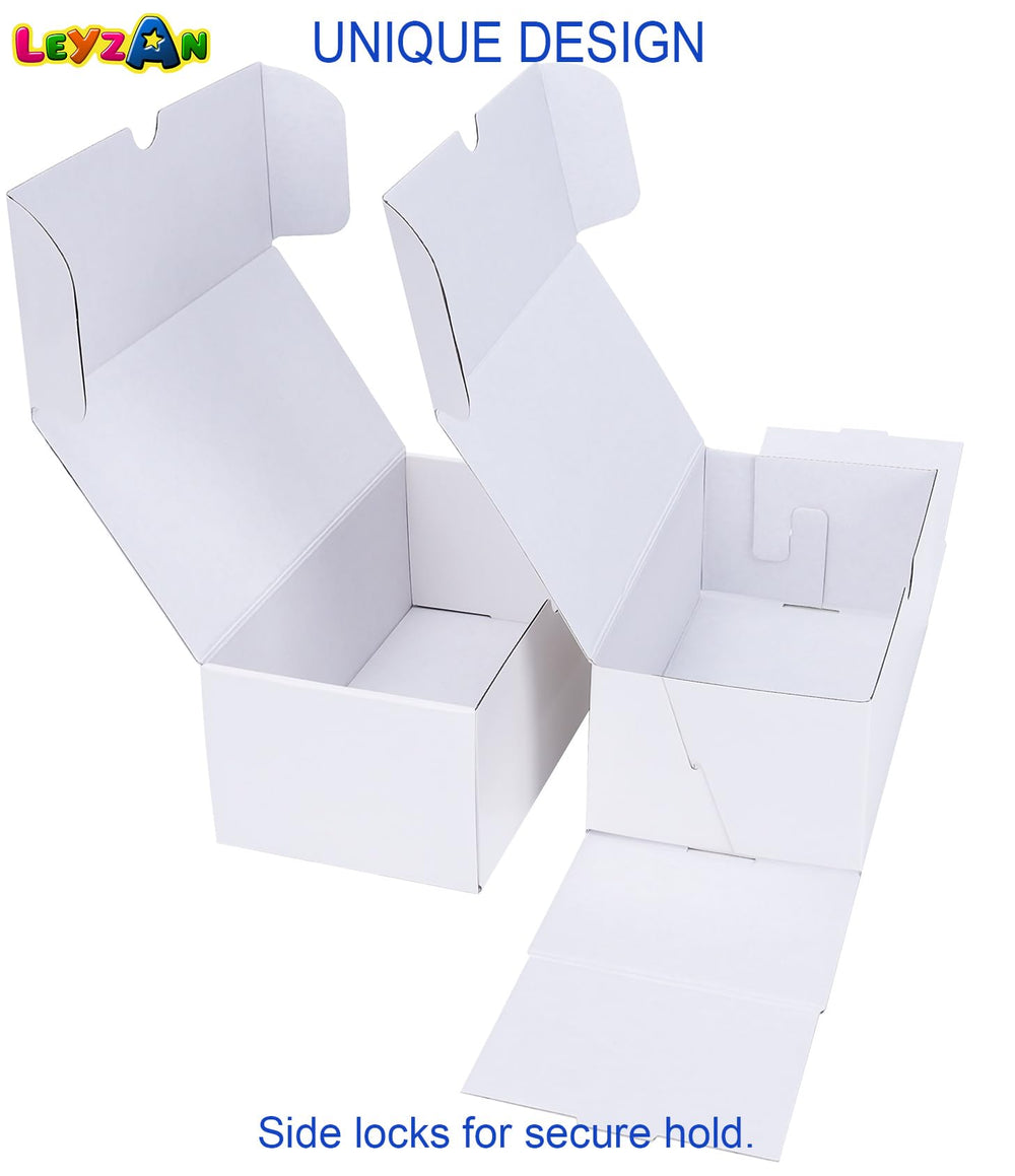 Leyzan collector gift-ready packaging suitable for serious hobbyists.