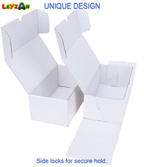 Leyzan collector gift-ready packaging suitable for serious hobbyists.