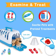 Liberty Imports deluxe vet set featuring cat plush for nurturing care play