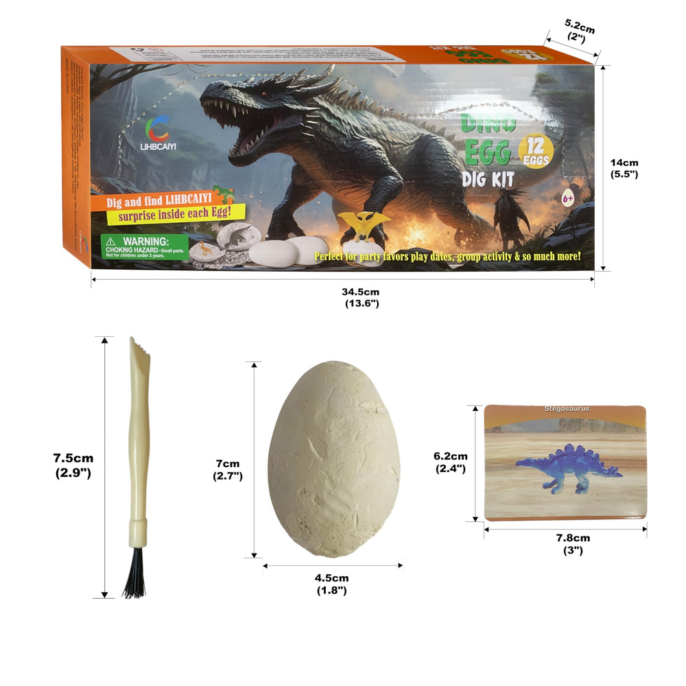 LIHBCAIYI Dino Eggs Dig Kit illustrated cards for visual learning.