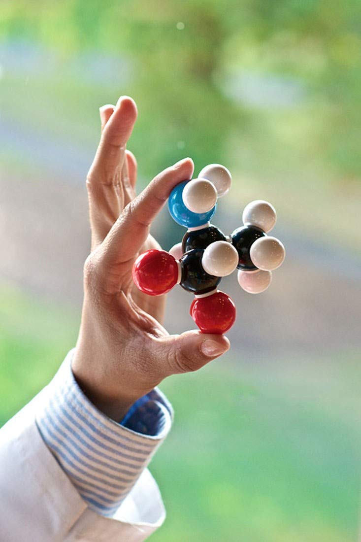 Linktor Universal color coding accelerates learning of atoms and bonds.