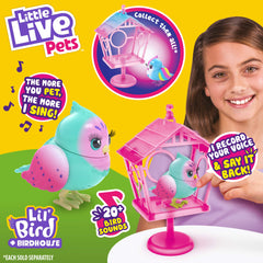 Styles vary: each Lil Bird arrives with unique color and flair.