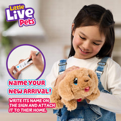 Nameplate and adoption certificate personalize your electronic pet.