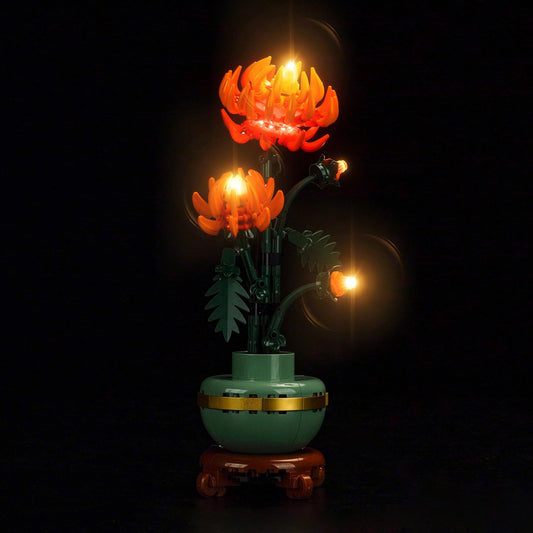 Locolee 10368 chrysanthemum light kit front view showing vibrant illumination.
