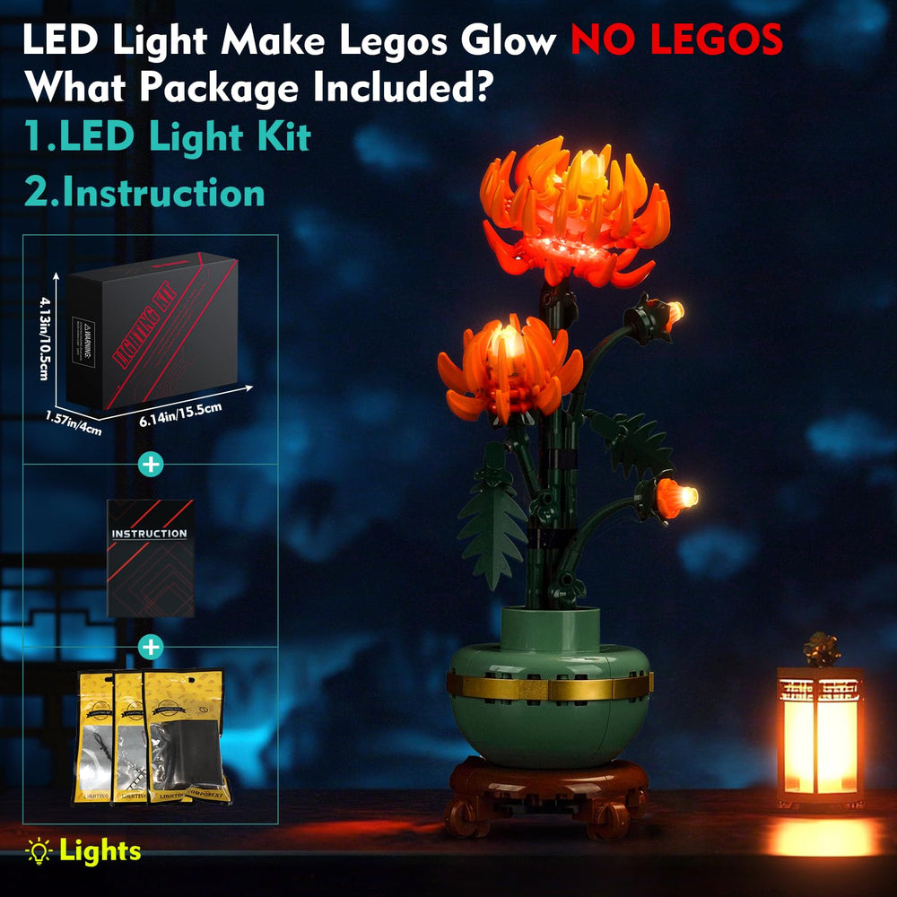 Locolee bright LED lights inside for vivid night-time display.