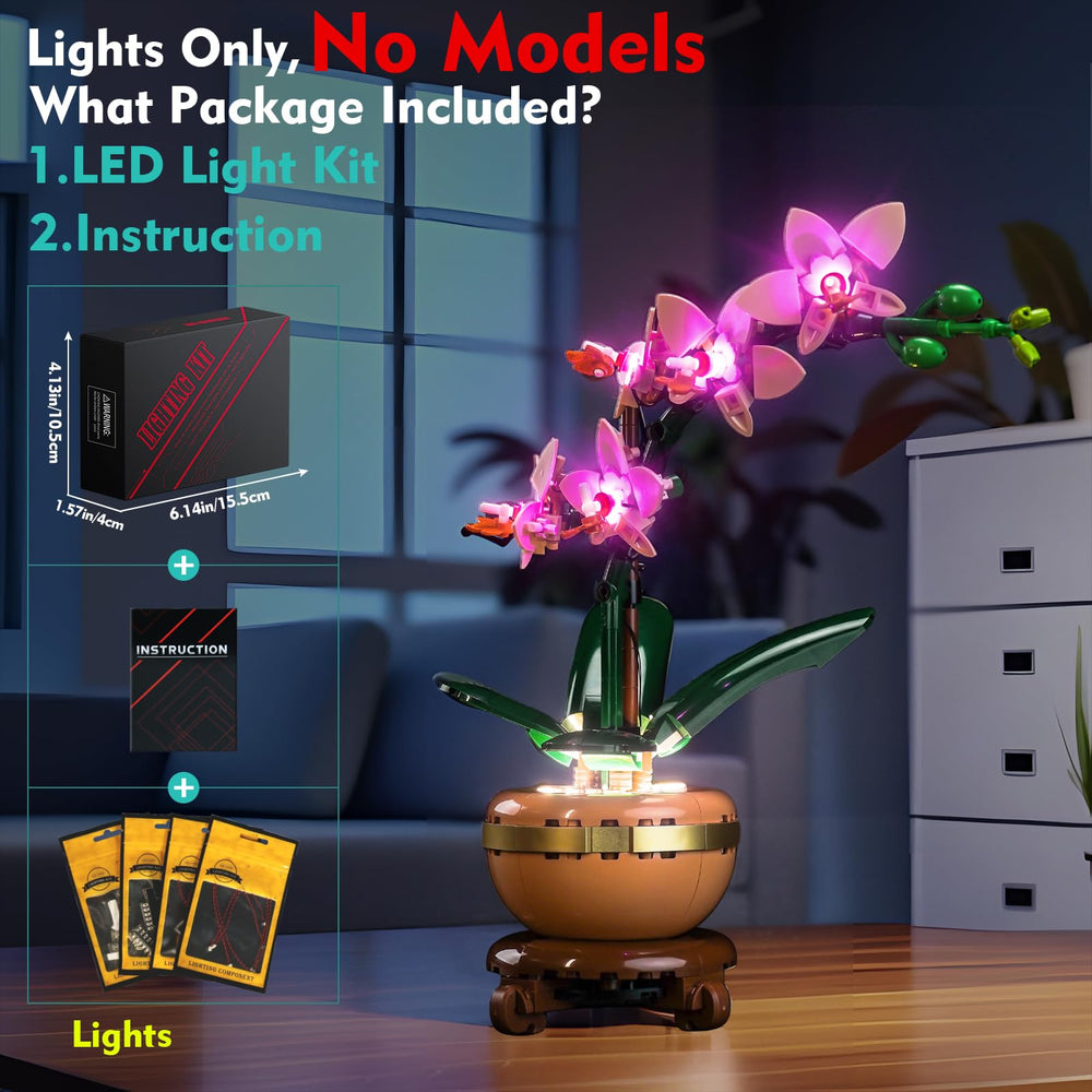 LocoLee display at night creates warm shelf ambience.